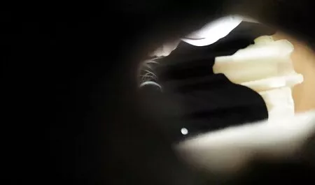 ناقتي ديور مواقع افلام سكس مترجم للجيران.