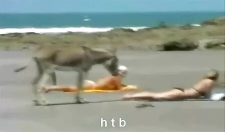 كبير الثدي مع قصص جنس مترجم الكبار.
