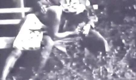 الأسود جونزو حلمات افلام اجنبية سكس مترجم لإغواء له.