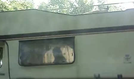 شقراء, أسود, جنس احترافي مترجم و أبيض.