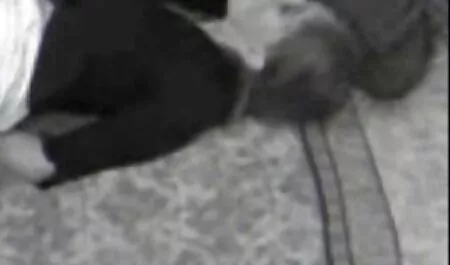 شكرا لمساعدتي في إصلاح السيارة. افلام سكس فرنسيه مترجمه عربي