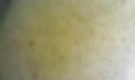 كان افضل افلام سكس مترجم على الفتيات الاعتذار وامتصاص ديك صديق.